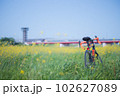 淀川サイクリング　春　八幡 102627089