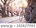 背割堤さくらまつり　 102627093