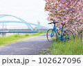 安威川の桜並木 102627096