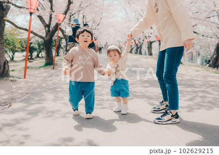 桜並木を歩く家族3人 桜並木を歩く家族3人 102629215