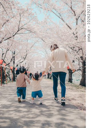 桜並木を歩く家族3人 桜並木を歩く家族3人 102629218
