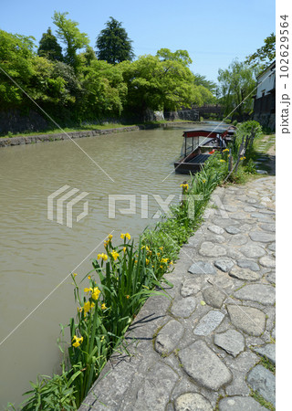 八幡堀 滋賀県近江八幡市 八幡堀 滋賀県近江八幡市 102629564
