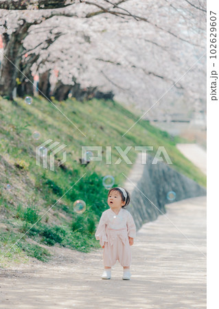 桜並木で1歳児の女の子 桜並木で1歳児の女の子 102629607