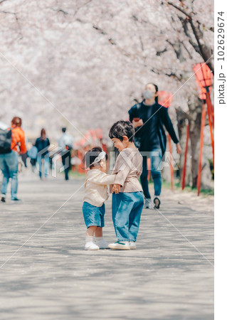 桜並木で兄弟2人の写真 桜並木で兄弟2人の写真 102629674