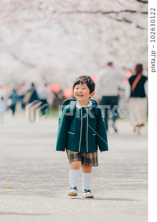 園児服を来た男の子 園児服を来た男の子 102630122