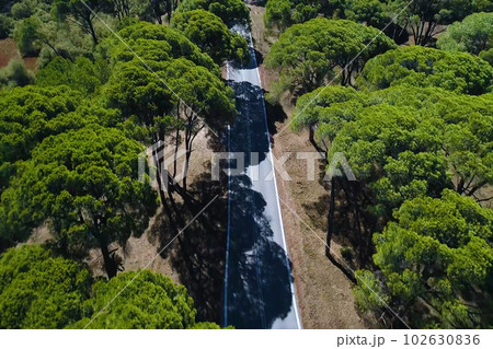 Beautiful landscape of the coast of the Peloponnese peninsula in Greece. 102630836