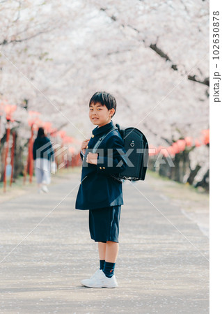 新一年生の男の子 102630878