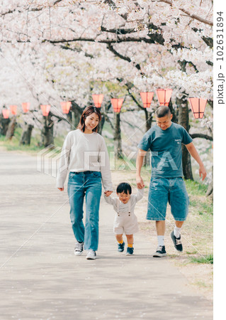 桜の木の下で歩いている家族の写真 桜の木の下で歩いている家族の写真 102631894