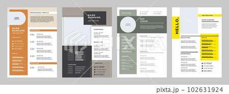 Business CV template. Minimalistic resume layout with work experience, education and skills fields vector set 102631924
