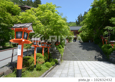 新緑の鞍馬寺　境内入口の石段　京都市左京区 102632432