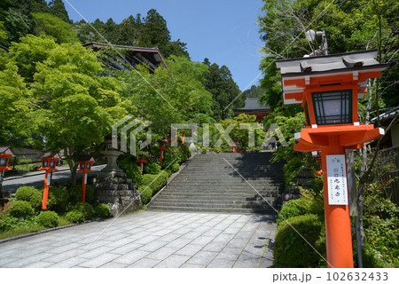 新緑の鞍馬寺　境内入口の石段　京都市左京区 102632433