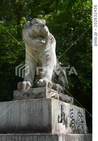 新緑の鞍馬寺 仁王門の狛犬 京都市左京区 新緑の鞍馬寺 仁王門の狛犬 京都市左京区 102632436