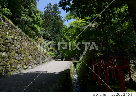 新緑の鞍馬寺　参道の石垣　京都市左京区 102632453
