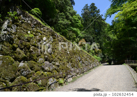新緑の鞍馬寺　参道の石垣　京都市左京区 102632454
