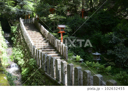 新緑の鞍馬寺　吉鞍稲荷社の参道　京都市左京区 102632455