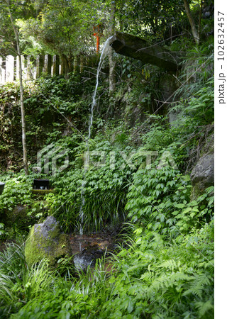 新緑の鞍馬寺 滝水 京都市左京区 新緑の鞍馬寺 滝水 京都市左京区 102632457