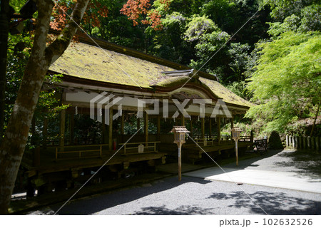 新緑の鞍馬寺　由岐神社の拝殿　京都市左京区 102632526