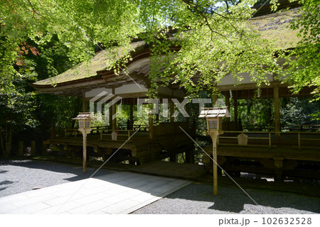 新緑の鞍馬寺　由岐神社の拝殿　京都市左京区 102632528