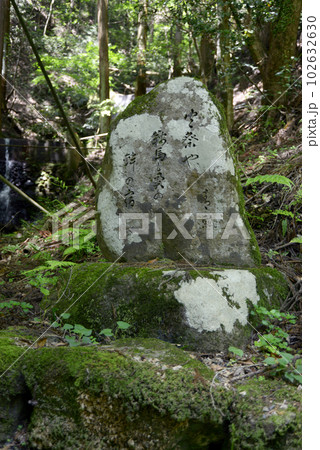 新緑の鞍馬寺　参道の歌碑　京都市左京区 102632630