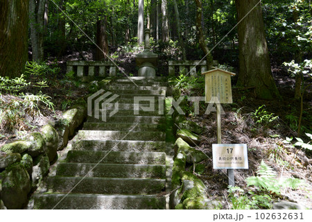新緑の鞍馬寺 義経公供養塔 京都市左京区 新緑の鞍馬寺 義経公供養塔 京都市左京区 102632631
