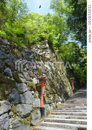 新緑の鞍馬寺 参道の石垣 京都市左京区 新緑の鞍馬寺 参道の石垣 京都市左京区 102633031