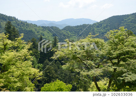 新緑の鞍馬寺 本堂境内からの風景 京都市左京区 新緑の鞍馬寺 本堂境内からの風景 京都市左京区 102633036