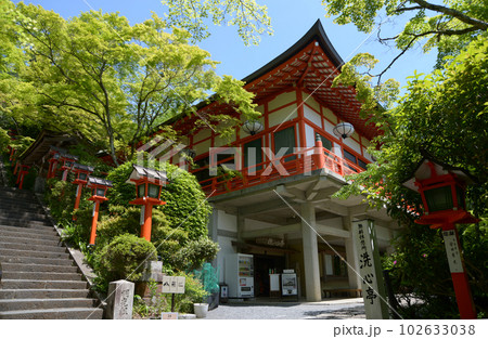 新緑の鞍馬寺　転法輪堂と若モミジ　京都市左京区 102633038