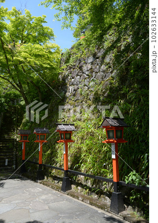 新緑の鞍馬寺　灯篭と石垣　京都市左京区 102633144