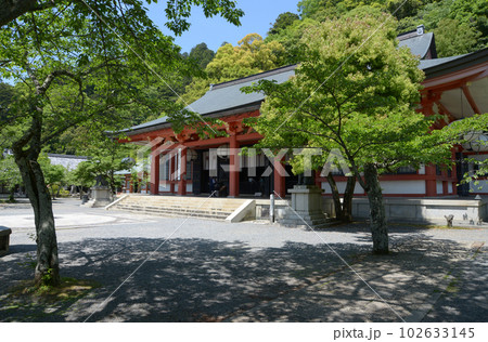 新緑の鞍馬寺　本堂　京都市左京区 102633145