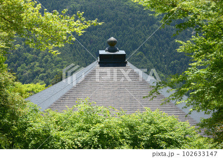 新緑の鞍馬寺 転法輪堂と若葉 京都市左京区 新緑の鞍馬寺 転法輪堂と若葉 京都市左京区 102633147