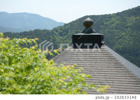 新緑の鞍馬寺　転法輪堂と若葉　京都市左京区 102633148