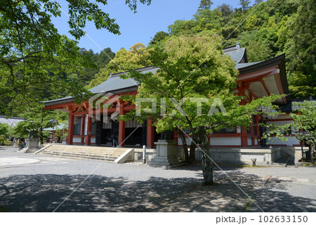 新緑の鞍馬寺　本堂　京都市左京区 102633150