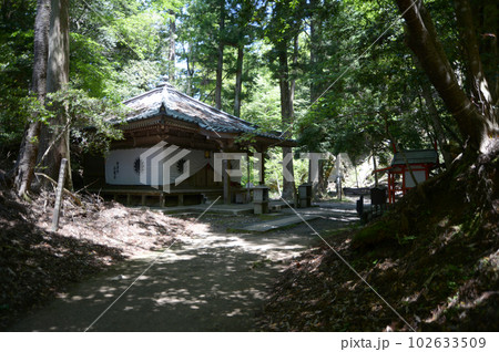 新緑の鞍馬寺　僧正ガ谷不動堂　京都市左京区 102633509