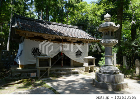 新緑の鞍馬寺　奥の院魔王堂　京都市左京区 102633568