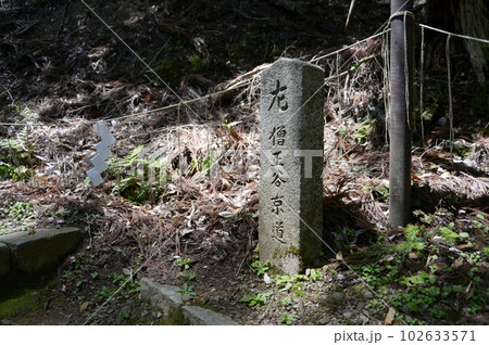 新緑の鞍馬寺 参道の道標 京都市左京区 新緑の鞍馬寺 参道の道標 京都市左京区 102633571