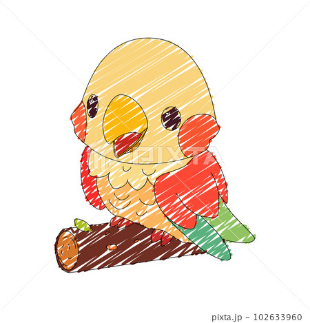 Cute little parrot with a kind smiling face and big eyes. 102633960
