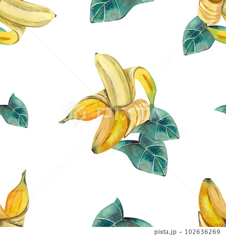 Seamless pattern. Watercolor pattern of ripe, open bananas and green leaves on a white background. All elements are hand painted in watercolor. Suitable for printing on fabric, paper. Seamless pattern. Watercolor pattern of ripe, open bananas and green leaves on a white background. All elements are hand painted in watercolor. Suitable for printing on fabric, paper. 102636269