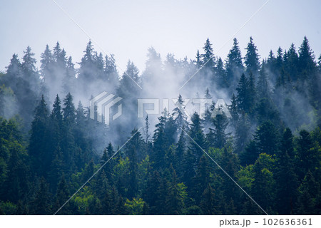 Misty mountain landscape Misty mountain landscape 102636361