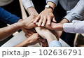 Their secret is great teamwork 102636791