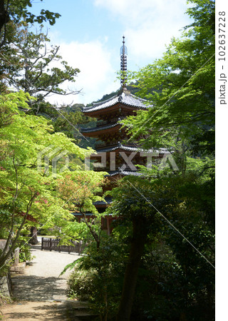 海住山寺 五重塔 京都府木津川市加茂町 海住山寺 五重塔 京都府木津川市加茂町 102637228