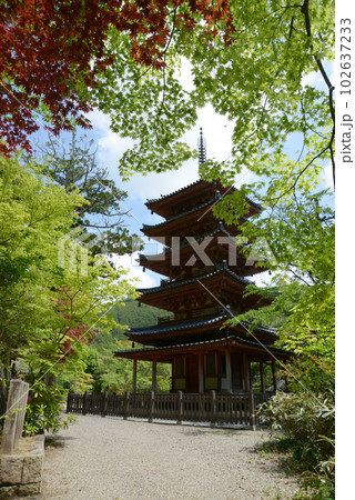 海住山寺　五重塔　京都府木津川市加茂町 102637233