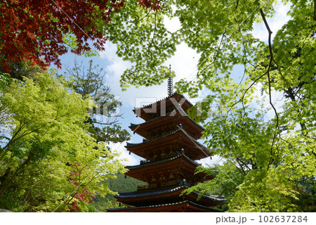 海住山寺 五重塔 京都府木津川市加茂町 海住山寺 五重塔 京都府木津川市加茂町 102637284