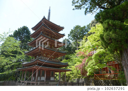 海住山寺　五重塔　京都府木津川市加茂町 102637291