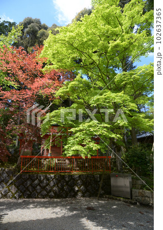 海住山寺　稲荷社　京都府木津川市加茂町 102637365