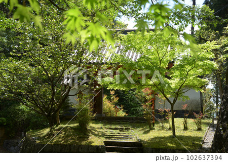 海住山寺 楼門 京都府木津川市加茂町 海住山寺 楼門 京都府木津川市加茂町 102637394