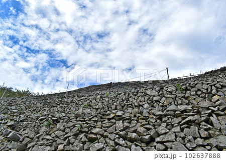 遊子水荷浦の段畑 愛媛 段畑 宇和島 遊子水荷浦の段畑 愛媛 段畑 宇和島 102637888