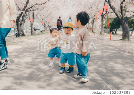 桜並木を歩く子供3人 102637892