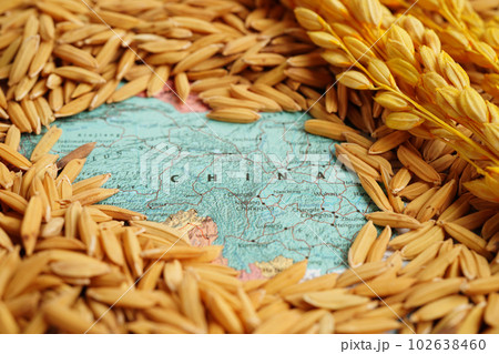 Bangkok, Thailand March 12, 2023 China map with grain rice from agriculture farm. Law and justice court concept. 102638460