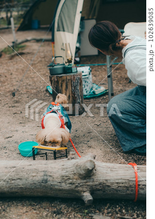 女性ソロキャンプで愛犬に餌やりをする 102639085