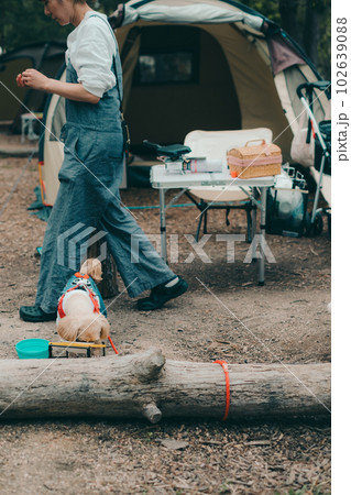 女性ソロキャンプで愛犬に餌やりをする 102639088